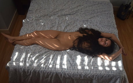 Mirabella Estella star xxx image