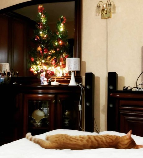 Leka Galkinstein xxx pornstar img