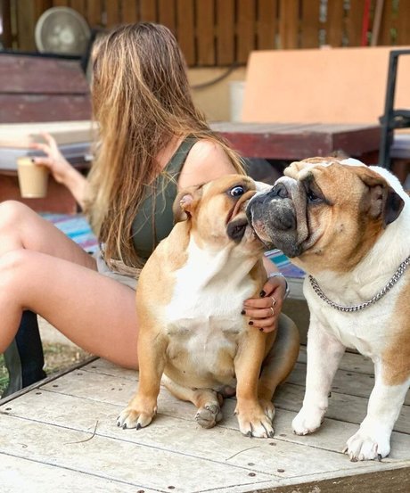 Shachar Alkoser sex model image