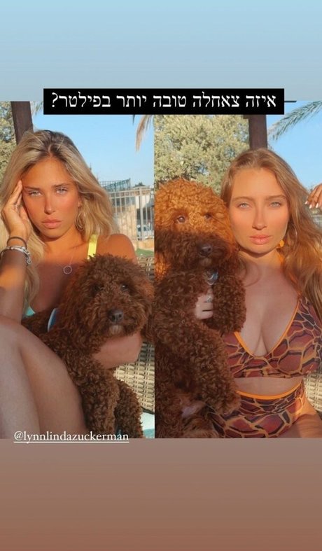 Shachar Alkoser star porn image