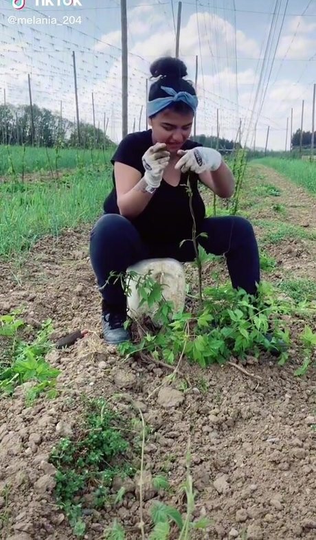 Melannia hot pornstar pictures