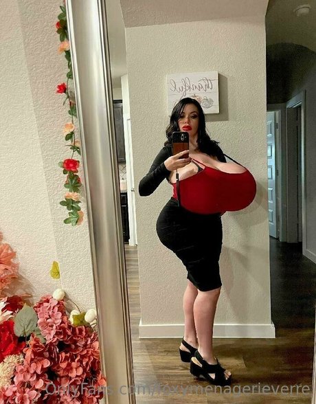 Foxy Menagerie Verre best star photos