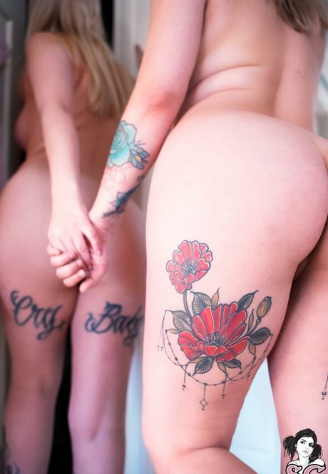 Filicity star top image