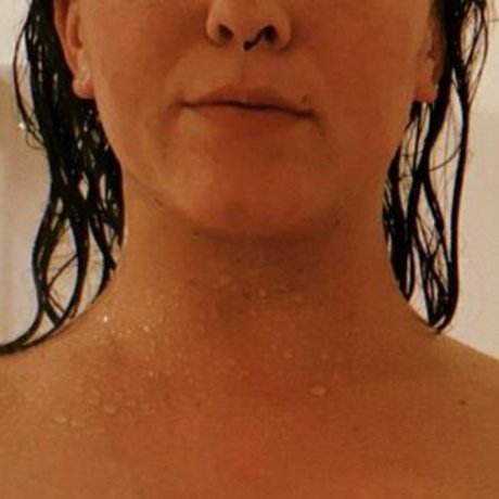 Aly The Armadillo star galleries