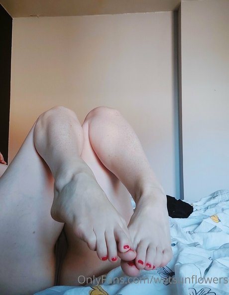 wetsunflowers star best pictures