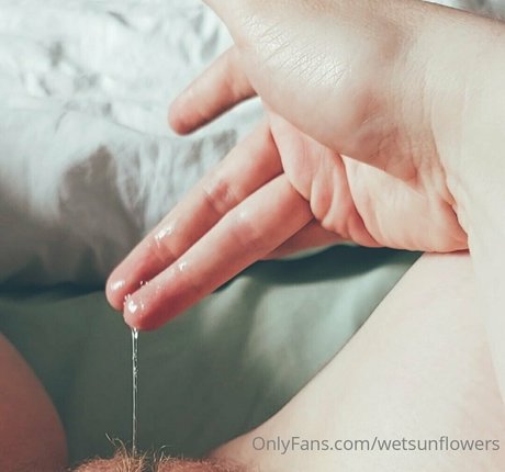 wetsunflowers top star img