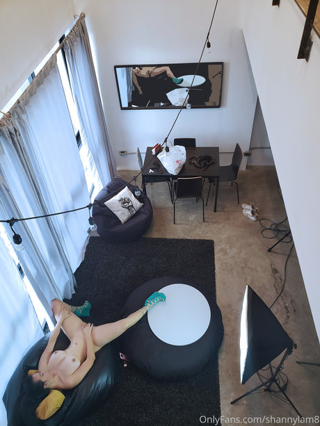 Shanny Lam porn star img