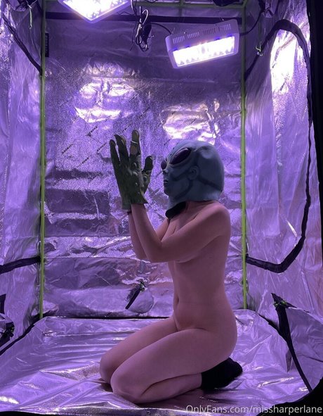 missharperlane adult star photos