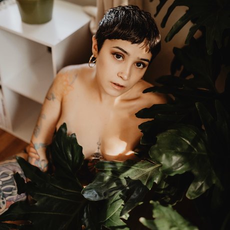 Jaclyn porn star pic