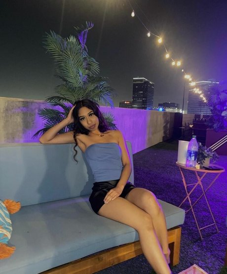 Zel3ya star nice gallery