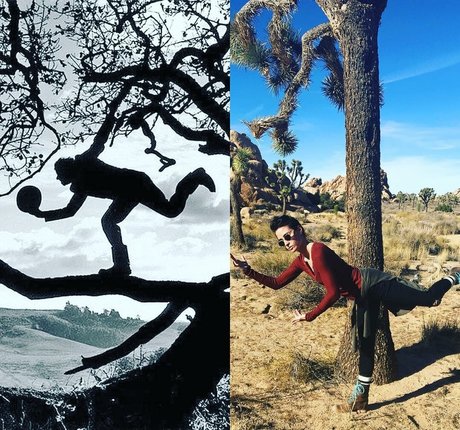 Allison Scagliotti model sex pictures