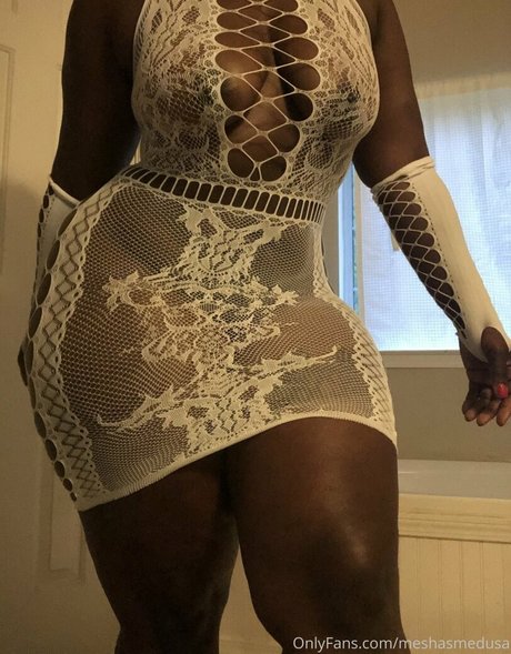 MeshasMedusa model perfect galleries