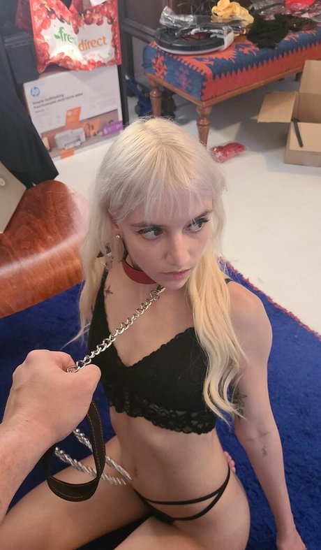 catsandkittens456 naked pornstar pictures