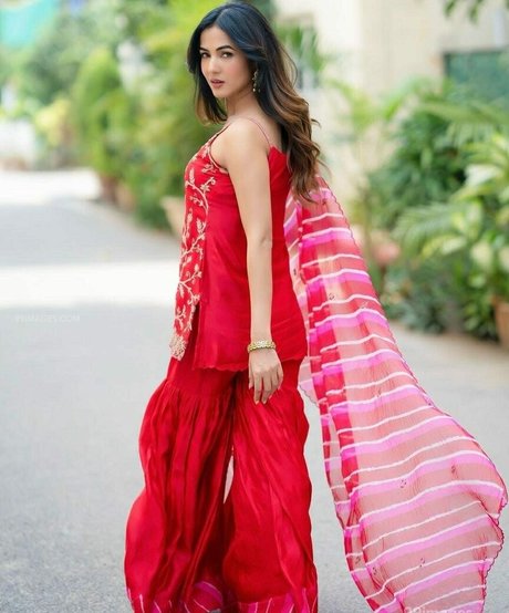 Sonal Chauhan model porn pics