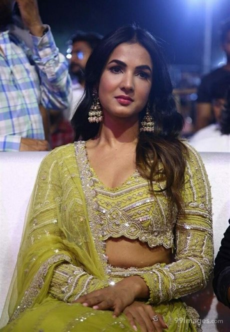 Sonal Chauhan adult star galleries