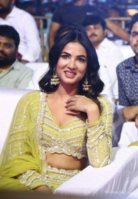 Sonal Chauhan nude actress photo