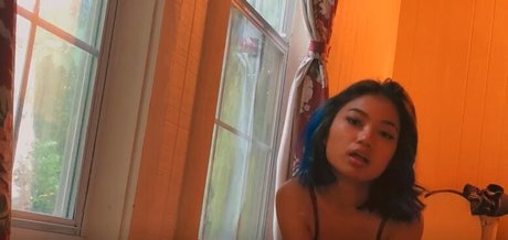 Little Gee star images