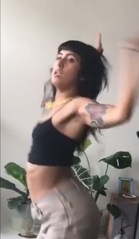 Lenamarisol best model img