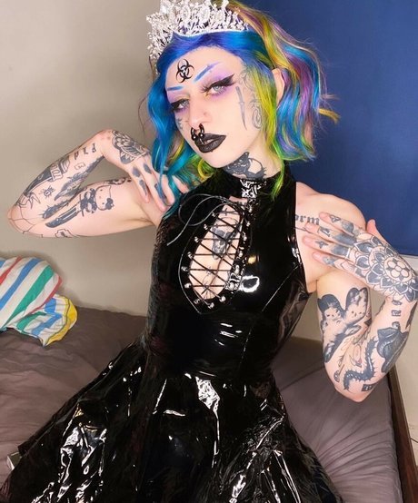 Piaisevil model top images