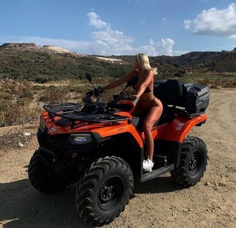 Cat Dart star hot img