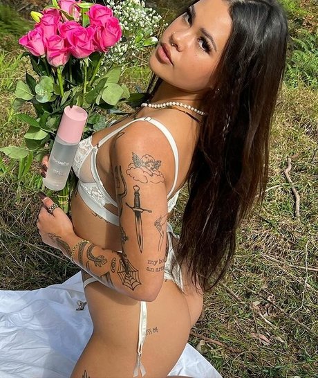 shakirareeve erotic actress pictures