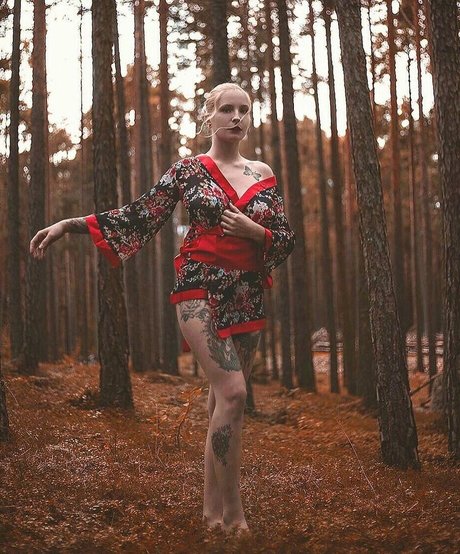 Swann SG nice model archive