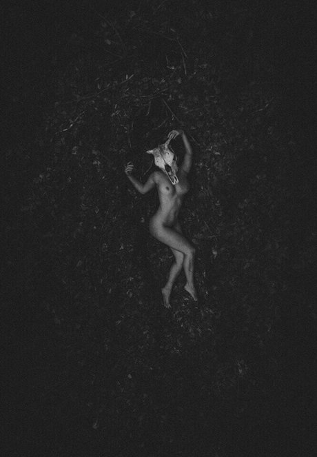 thinloth model adult pic