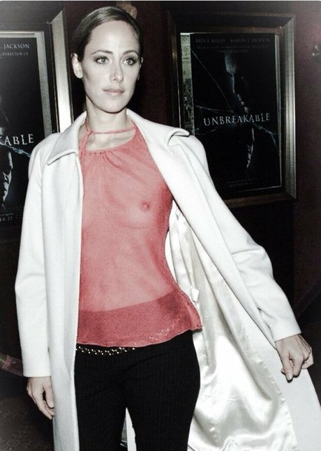 Kim Raver pornstar art image