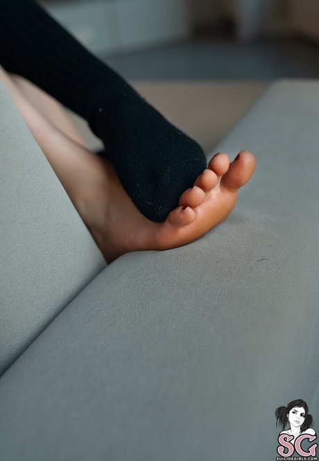 LVMAMY star free photo