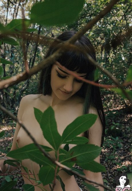 Lunathefairyy exclusive star img