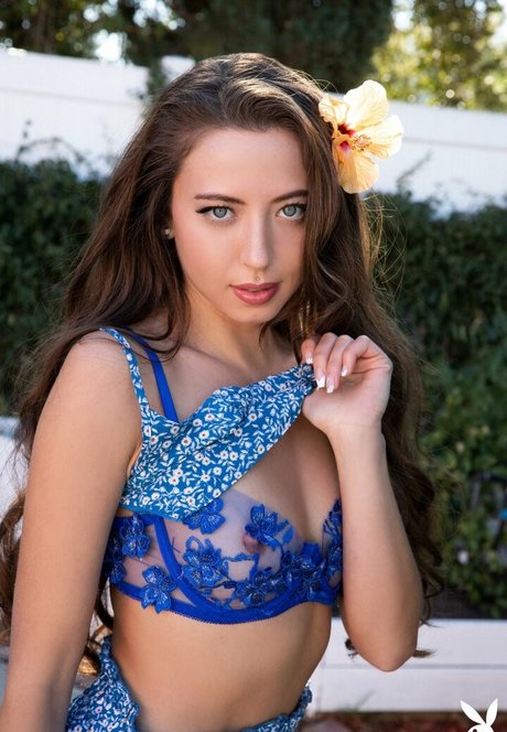 Lauryn Wolfe xxx actress photos