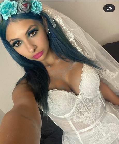 Dogluver007 high quality star photos