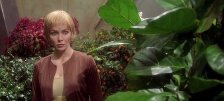 Annie Wersching actress pic