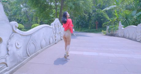 FullFive model pretty picture