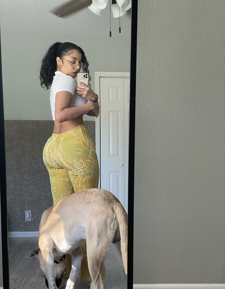 cyberclit pornstar art gallery