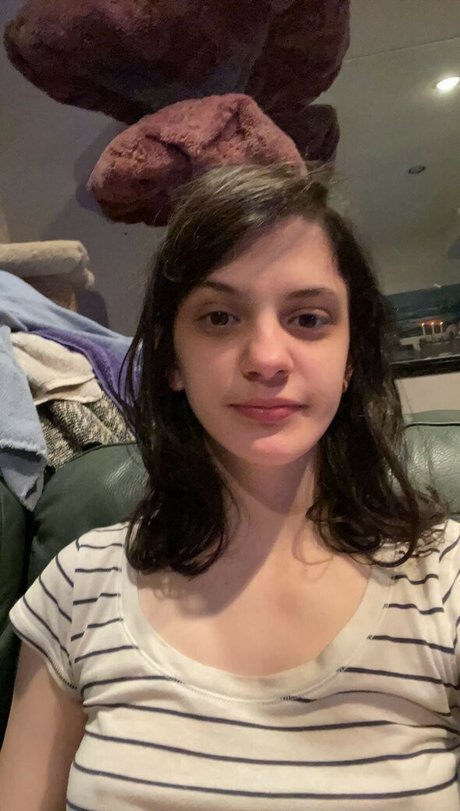 ceilingant perfect star image