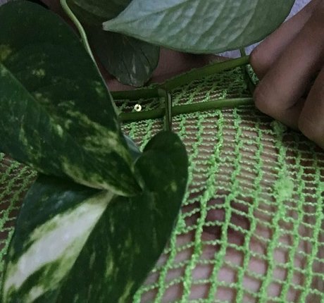 harami mami hot actress images