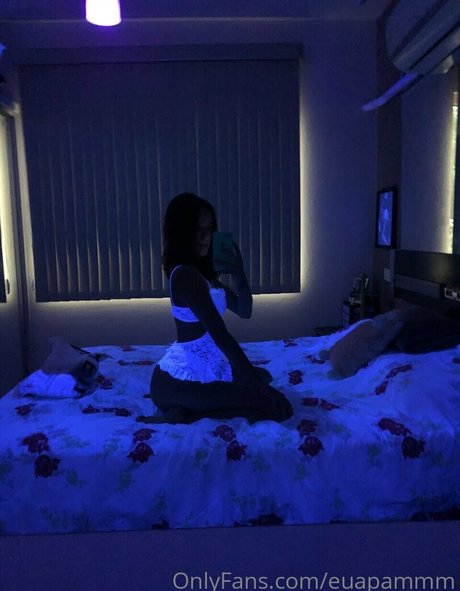 of pam pornographic actress galleries