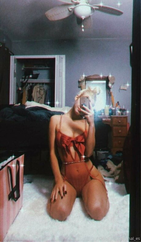 Hal es art star pictures