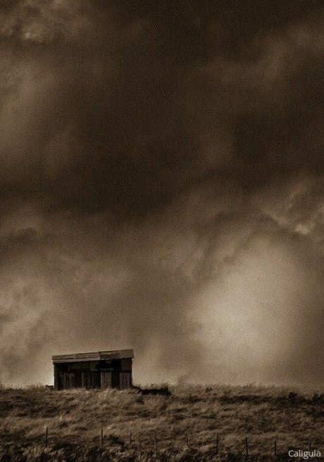 xxxcaligulaxxx porn star image