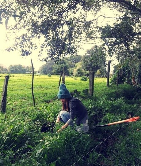 xxxcaligulaxxx star pornographic img