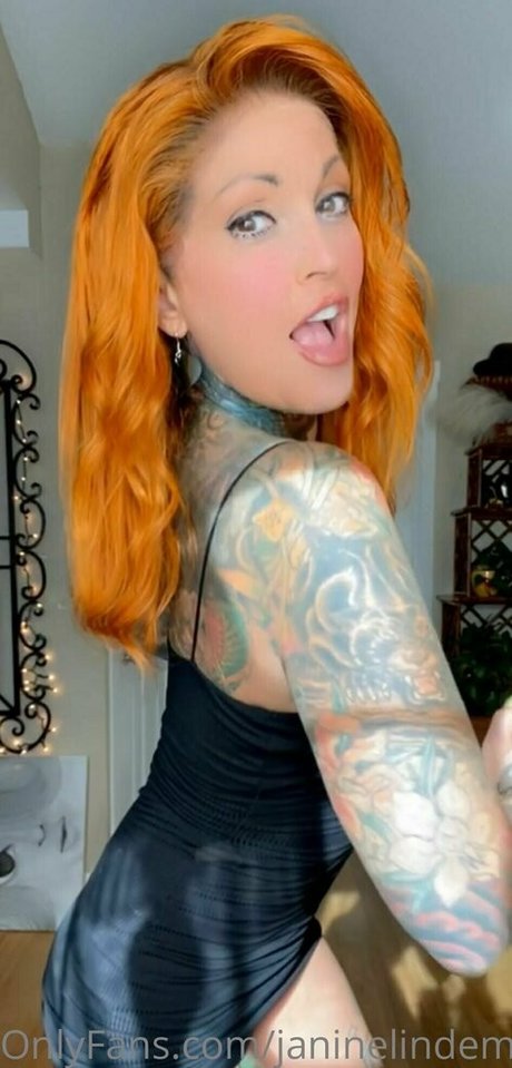 Janine Lindemulder art pornstar pic