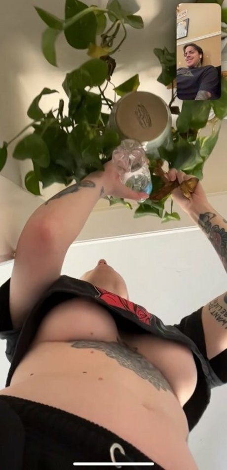 Wesley Fox model pictures