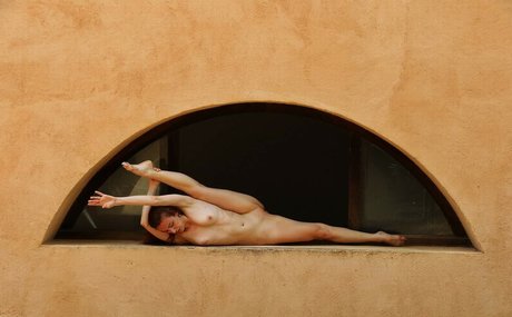 Butterfly Senses star pretty photo