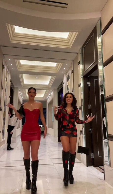 Charli DAmelio pornstar perfect galleries