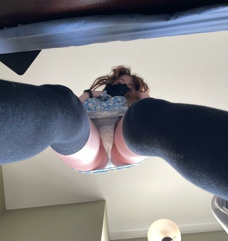 AWintersRoses free actress gallery