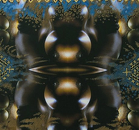 Felina Wood xxx pornstar image