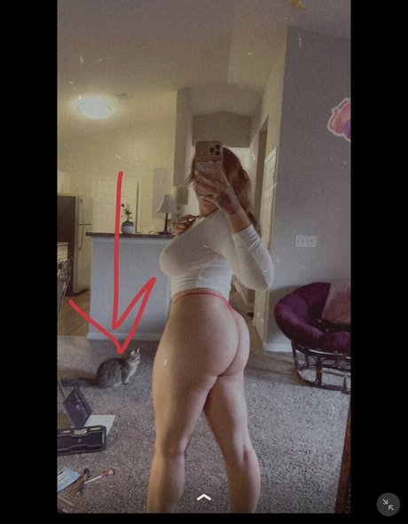 Maggielifts free pornstar photos