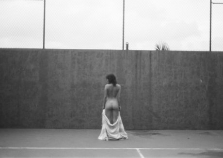 Sierrabravee star top archive