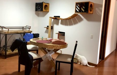 Lara Henao pornstar sexy galleries